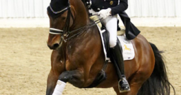 Classic Pony Express Escolar (Gute Neuenhof) und Hubertus Schmidt