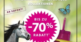 Classic Pony Express Equiva Frühjahrsputz